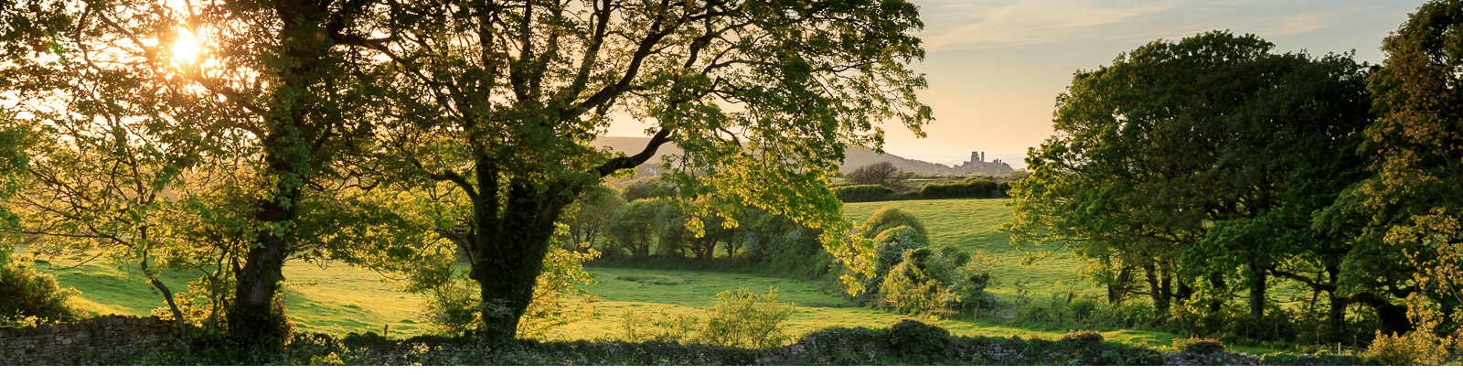 dunshay manor biodiversity hero