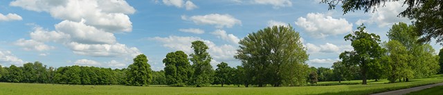 Shottesbrooke-park-1600x345