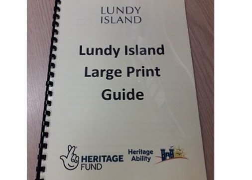 bslguide-lundy-accessibility-listdisplay-450x321