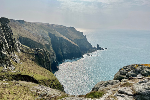 Lundy-Trees-a-crowd-lundy-600x400.jpg