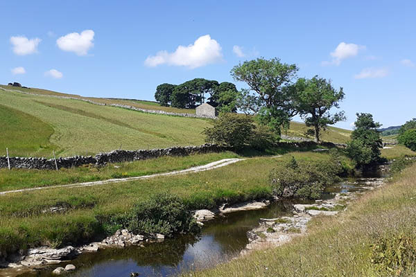 View to Cowside from stream