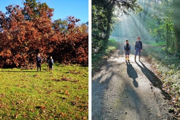 Enjoying the autumn sunshine during walks in Dorset