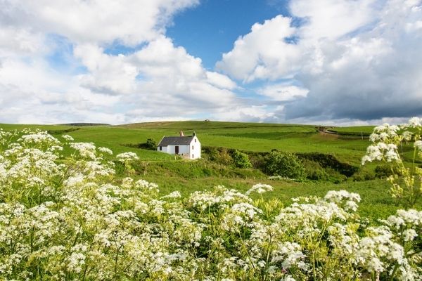 Tangy Mill in Scotland, surrounded by cow parsley