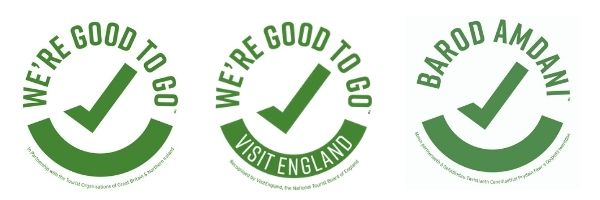 Good to Go logo