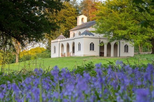 Cobham Dairy bluebells 600 x 400