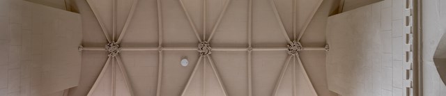 CobhamDairy-centralchamberceiling-1600x345