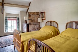 Llwyn Celyn int twon mustard 1200x800