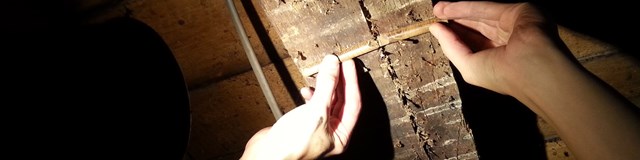 llwyn-celyn-interior-dendro-core-snug-beam-1600x400