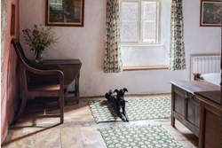 Margells int dog 1200x800
