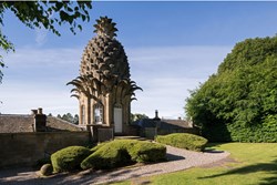 The Pineapple ext path 1200x800