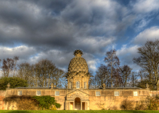 pineapple-exterior-450x321