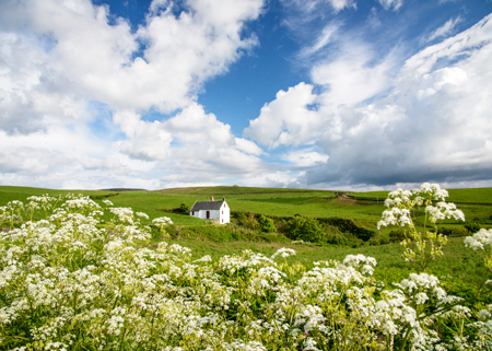 Spring Bank Holiday